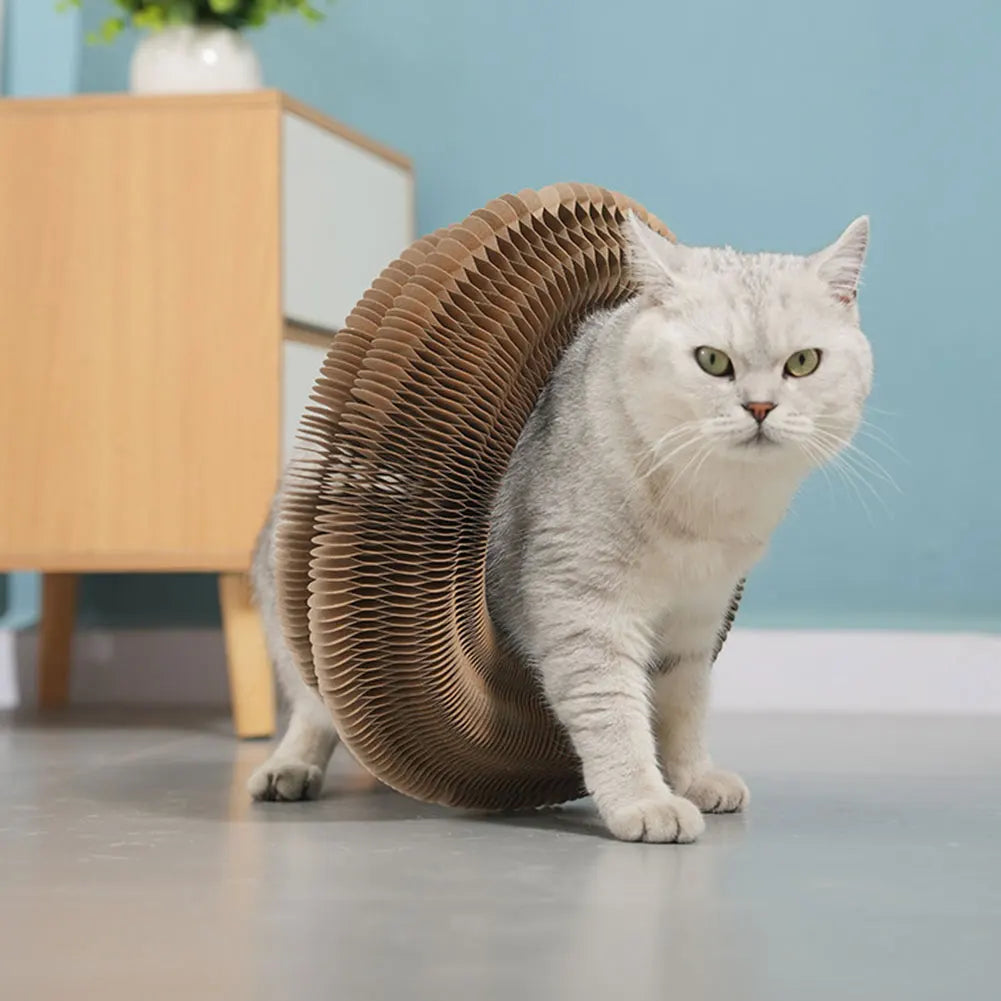Foldable Cat Scratcher