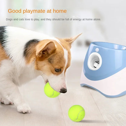 Mini Fetch Launcher