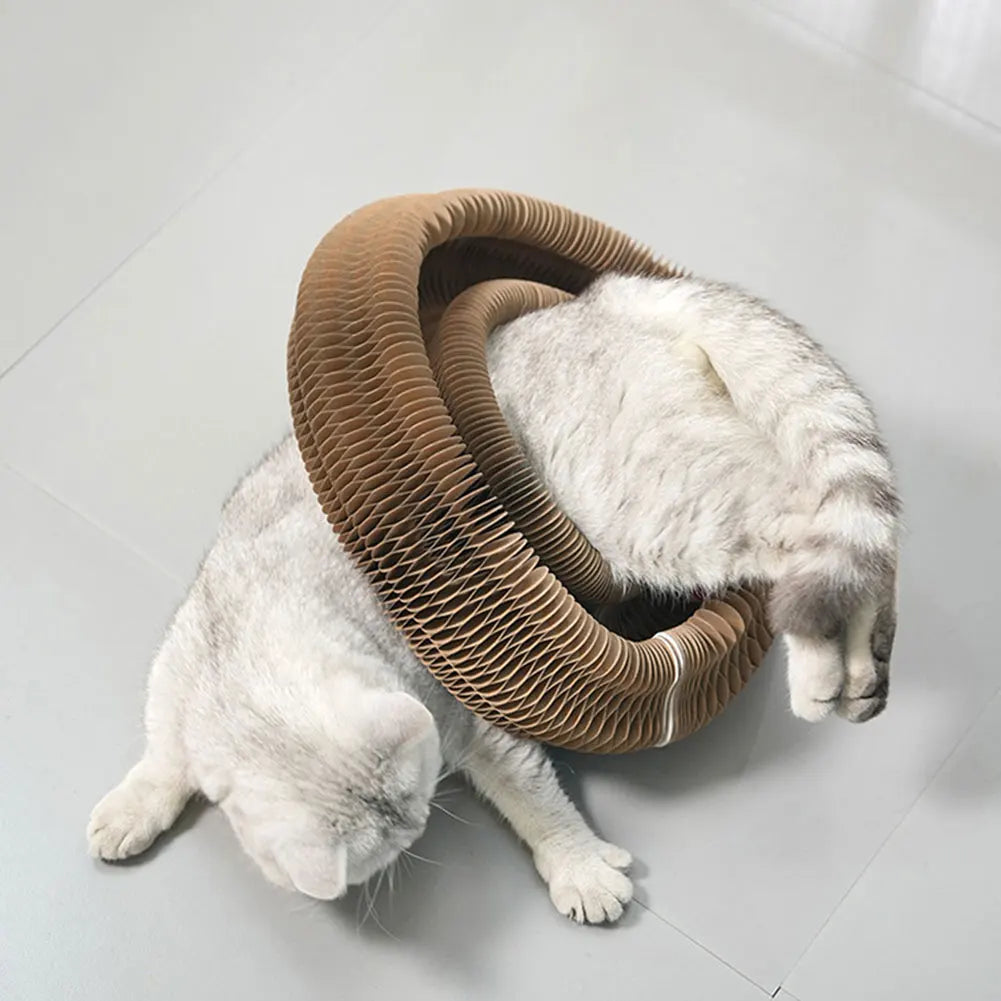 Foldable Cat Scratcher